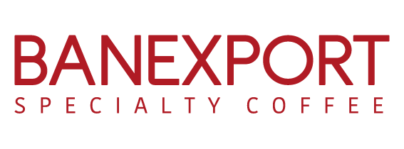 Banexport